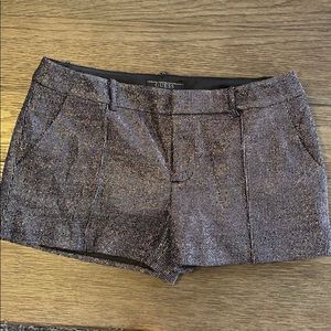 Guess brand dressy shorts